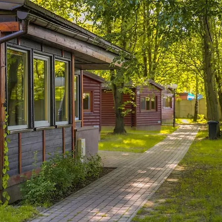 River Park Wśród Drzew Wzdłuż Rzeki