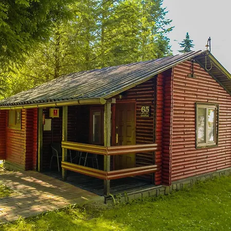 River Park Wśród Drzew Wzdłuż Rzeki Zator