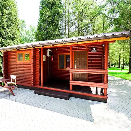 River Park Wśród Drzew Wzdłuż Rzeki Ośrodek wypoczynkowy