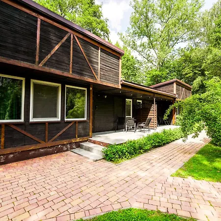 River Park Wśród Drzew Wzdłuż Rzeki Zator