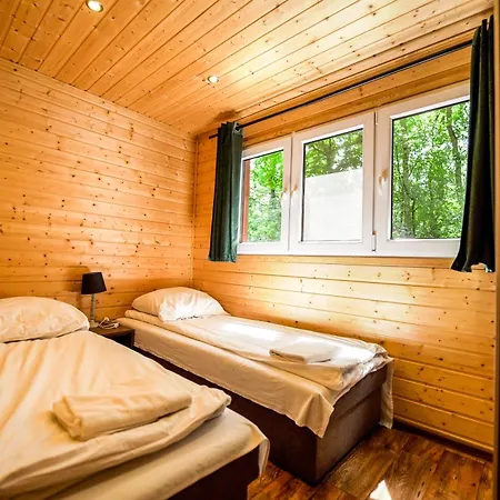 River Park Wśród Drzew Wzdłuż Rzeki Zator