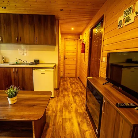 River Park Wśród Drzew Wzdłuż Rzeki Ośrodek wypoczynkowy