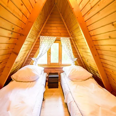 River Park Wśród Drzew Wzdłuż Rzeki