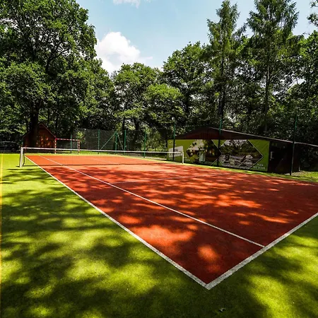 River Park Wśród Drzew Wzdłuż Rzeki Ośrodek wypoczynkowy