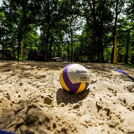 River Park Wśród Drzew Wzdłuż Rzeki Zator