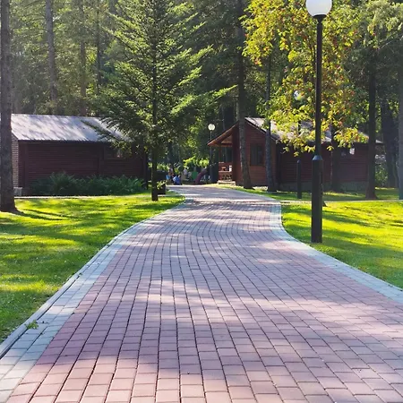 River Park Wśród Drzew Wzdłuż Rzeki Ośrodek wypoczynkowy Zator