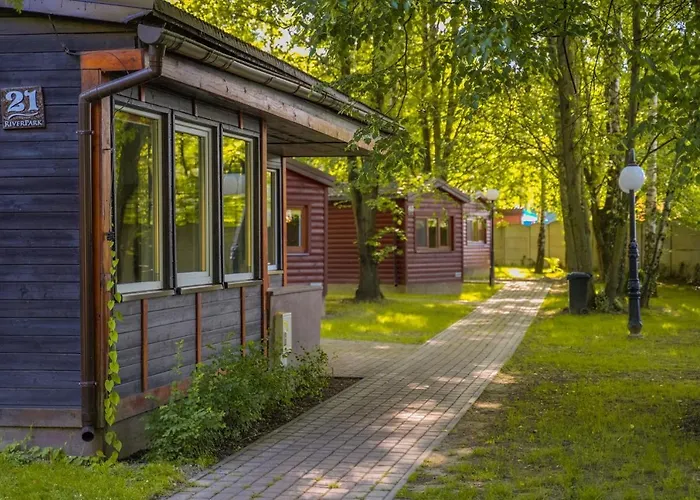 River Park Wśród Drzew Wzdłuż Rzeki