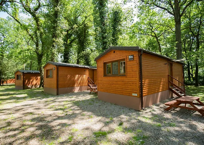 Ośrodek wypoczynkowy River Park Wśród Drzew Wzdłuż Rzeki Zator