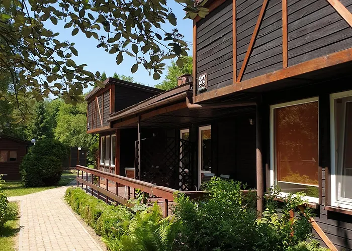 River Park Wśród Drzew Wzdłuż Rzeki Zator