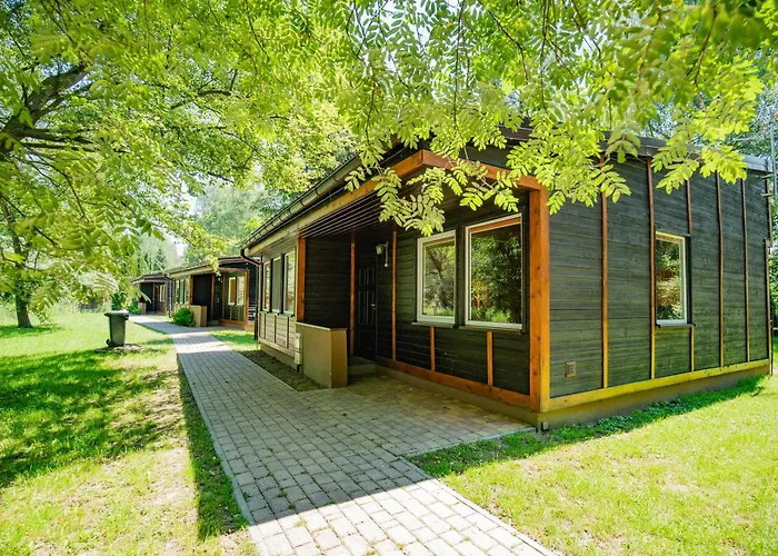 River Park Wśród Drzew Wzdłuż Rzeki Ośrodek wypoczynkowy Zator