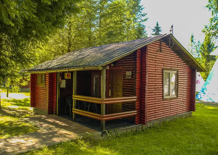 River Park Wśród Drzew Wzdłuż Rzeki Zator