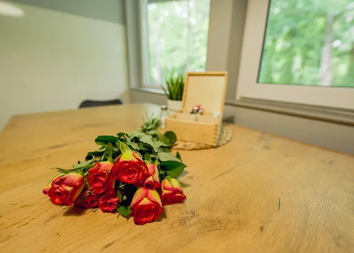 River Park 3* 자토르