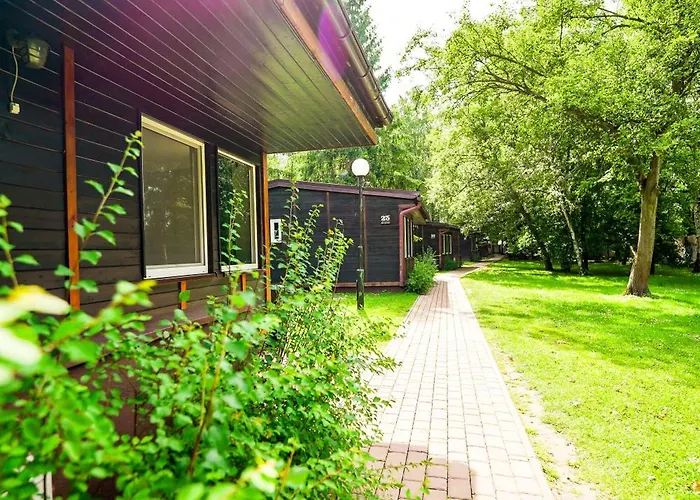 River Park Wśród Drzew Wzdłuż Rzeki Ośrodek wypoczynkowy