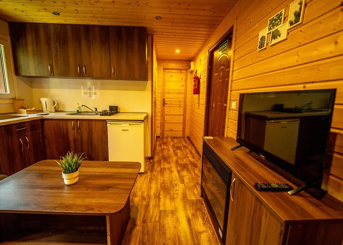 River Park Wśród Drzew Wzdłuż Rzeki Ośrodek wypoczynkowy