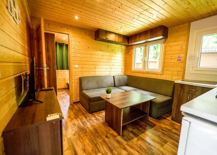 River Park Wśród Drzew Wzdłuż Rzeki Zator