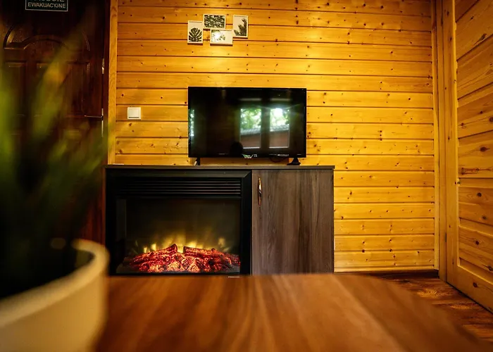 River Park Wśród Drzew Wzdłuż Rzeki