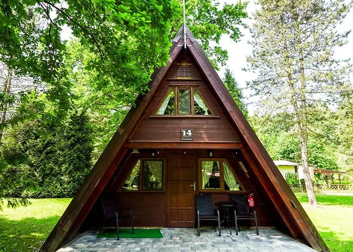 River Park Wśród Drzew Wzdłuż Rzeki Zator