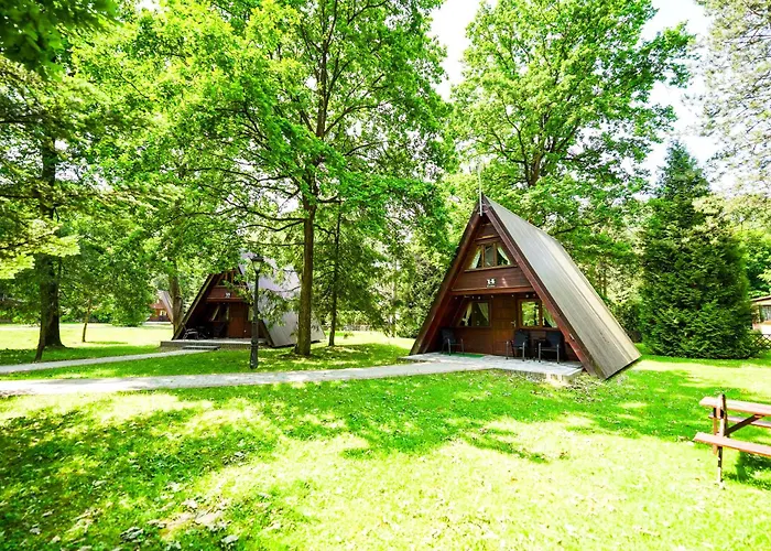 River Park Wśród Drzew Wzdłuż Rzeki