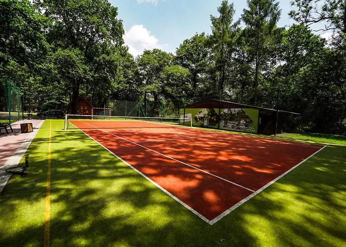 River Park Wśród Drzew Wzdłuż Rzeki Ośrodek wypoczynkowy