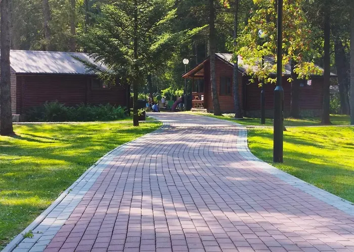 River Park Wśród Drzew Wzdłuż Rzeki Ośrodek wypoczynkowy Zator